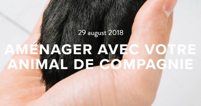 Amenager avec votre animal de compagnie
